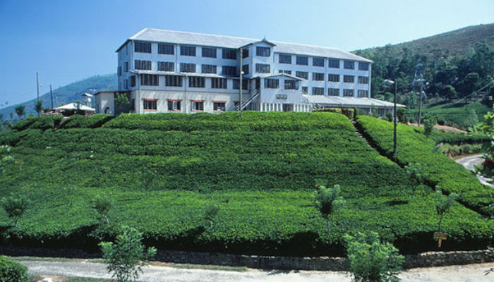 tea factory